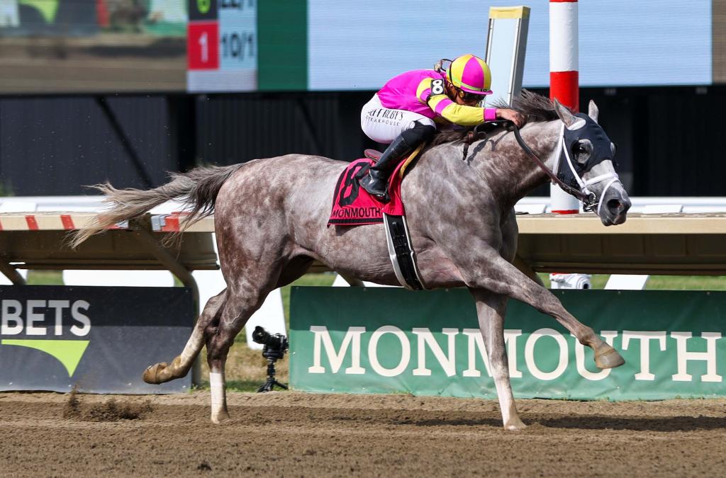 Woodward Stakes winner Tapit Trice (Eclipse Sportswire)