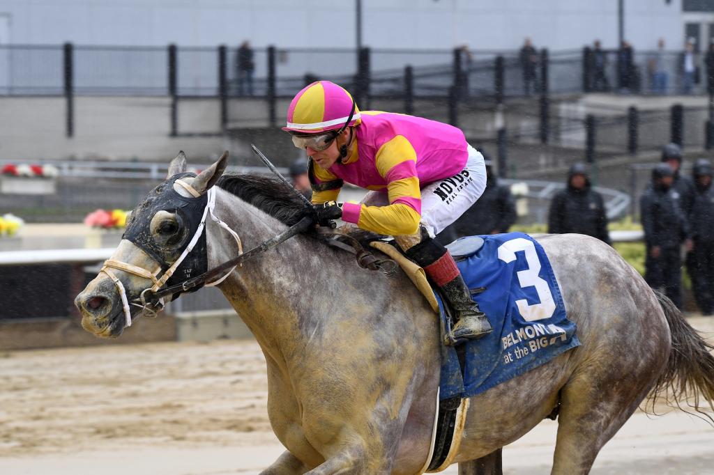 Woodward Stakes winner Tapit Trice (Chelsea Durand/NYRA)