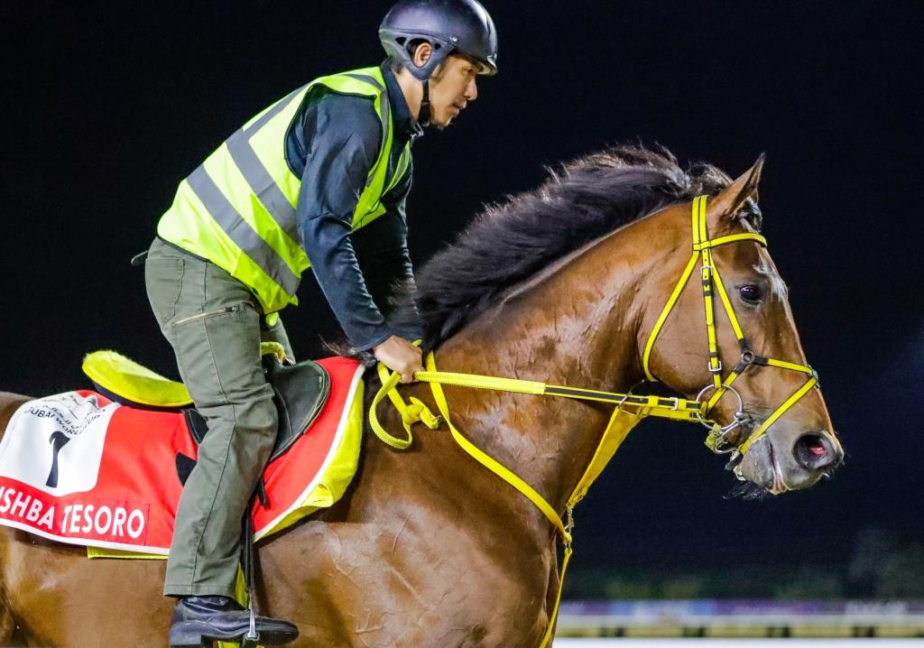 2023 Dubai World Cup Sponsored by Emirates Airline winner Ushba Tesoro (Dubai Racing Club)