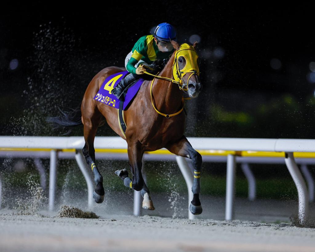 2023 Dubai World Cup Sponsored by Emirates Airline winner Ushba Tesoro (Mazakazu Takahashi)