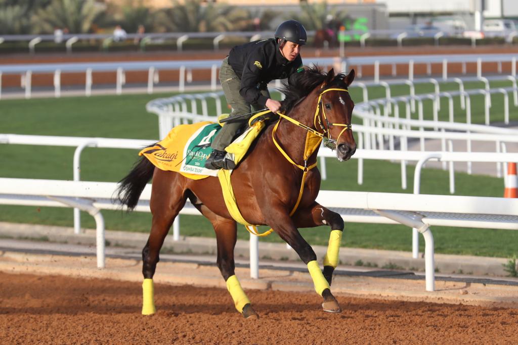 2023 Dubai World Cup Sponsored by Emirates Airline winner Ushba Tesoro (Eclipse Sportswire)