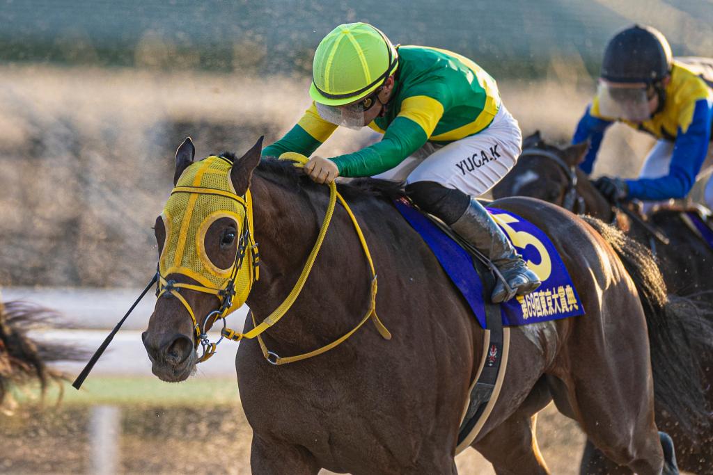 2023 Dubai World Cup Sponsored by Emirates Airline winner Ushba Tesoro (Eclipse Sportswire)