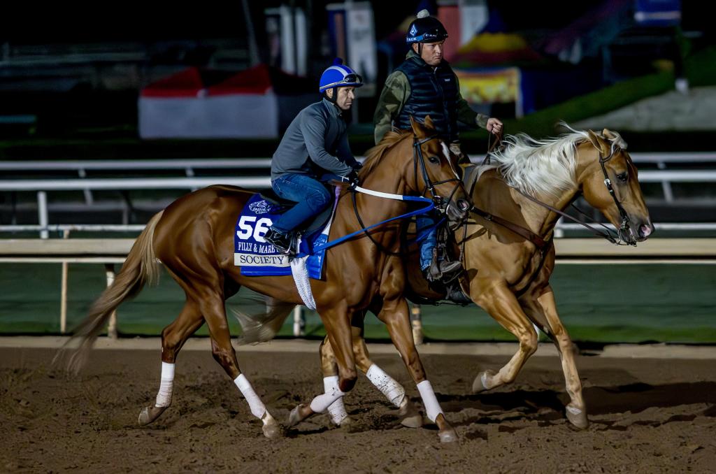 Mr. T, under Scott Blasi, escorting Society to the track last year at Santa Anita ahead of the Breeders’ Cup. (Eclipse Sportswire)