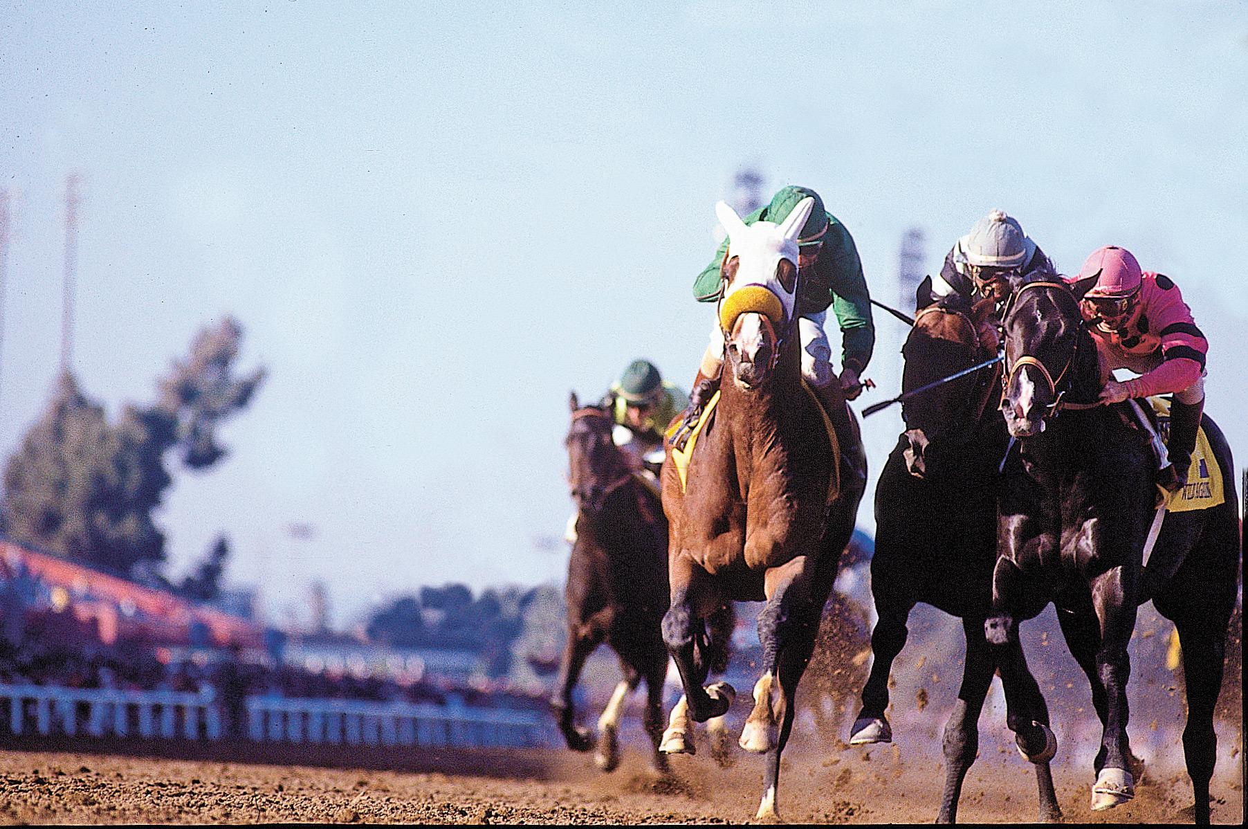 Slew o' Gold is sandwiched between Gate Dancer and Wild Again.