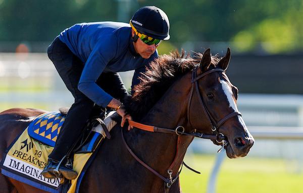 Preakness Stakes, Imagination, Pimlico, Triple Crown, Eclipse Sportswire