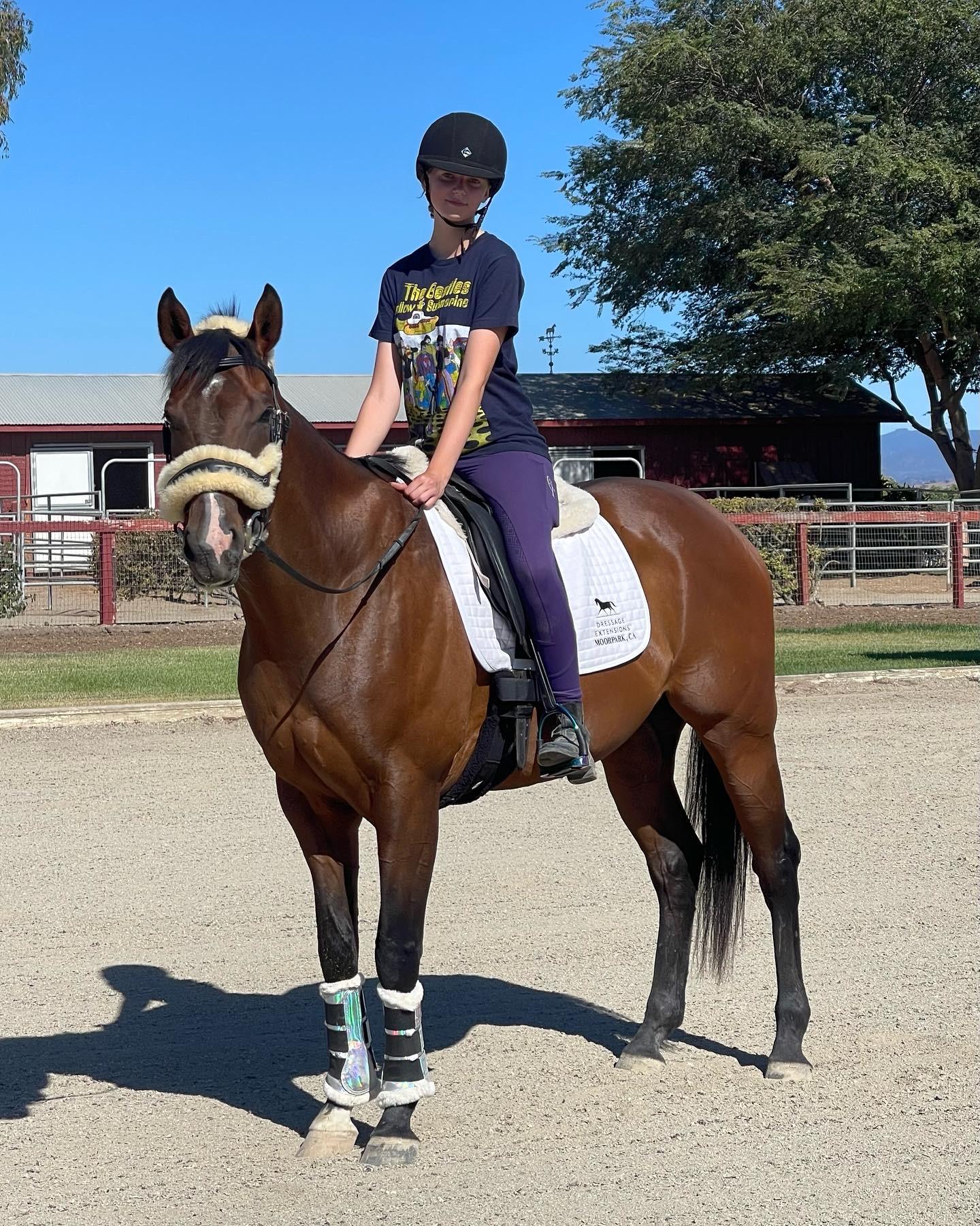 Thoroughbred Aftercare Alliance, Win Place Home, Scouted, Olivia Holland, BoJack