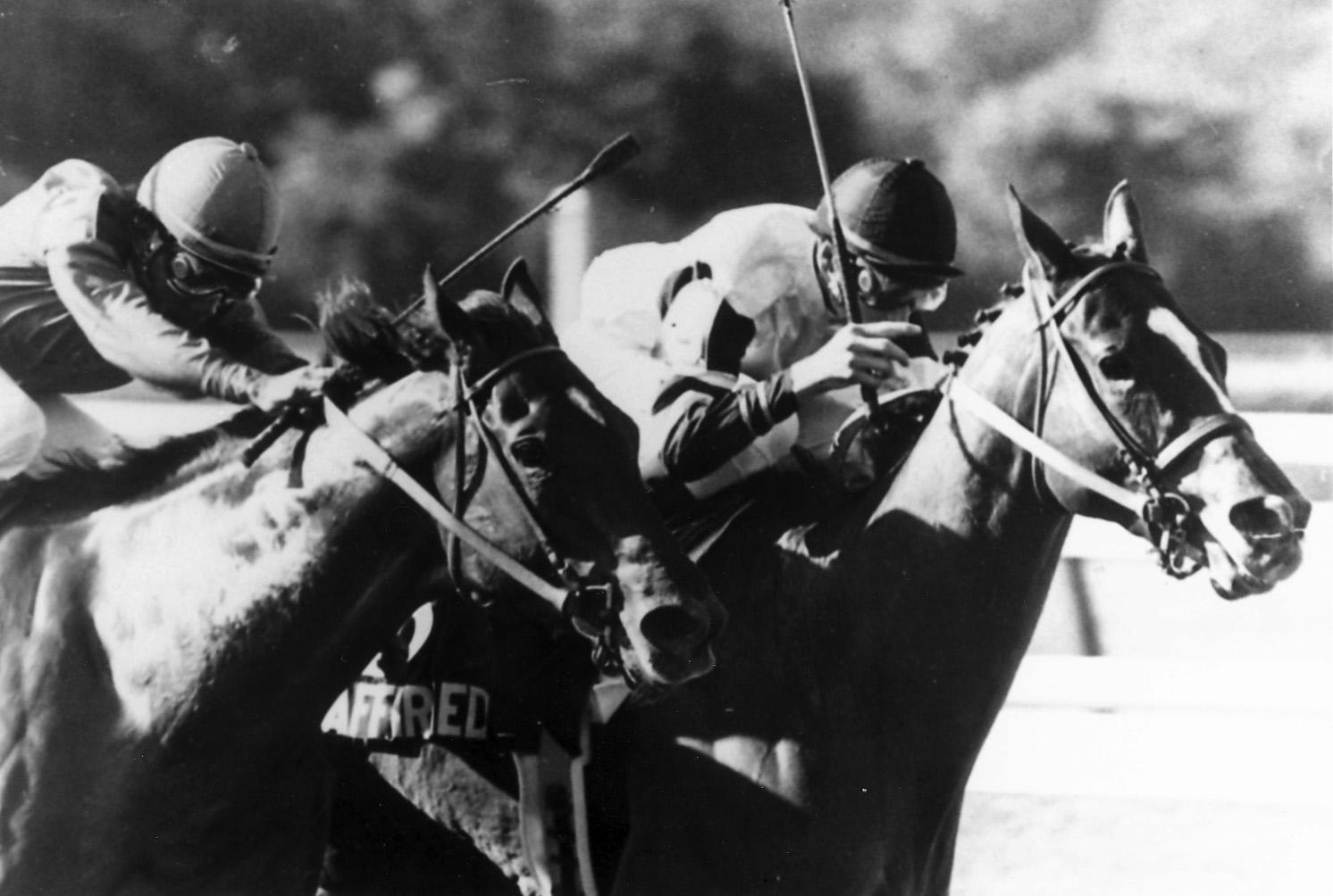 Affirmed wins the 1978 Belmont Stakes and the Triple Crown.
