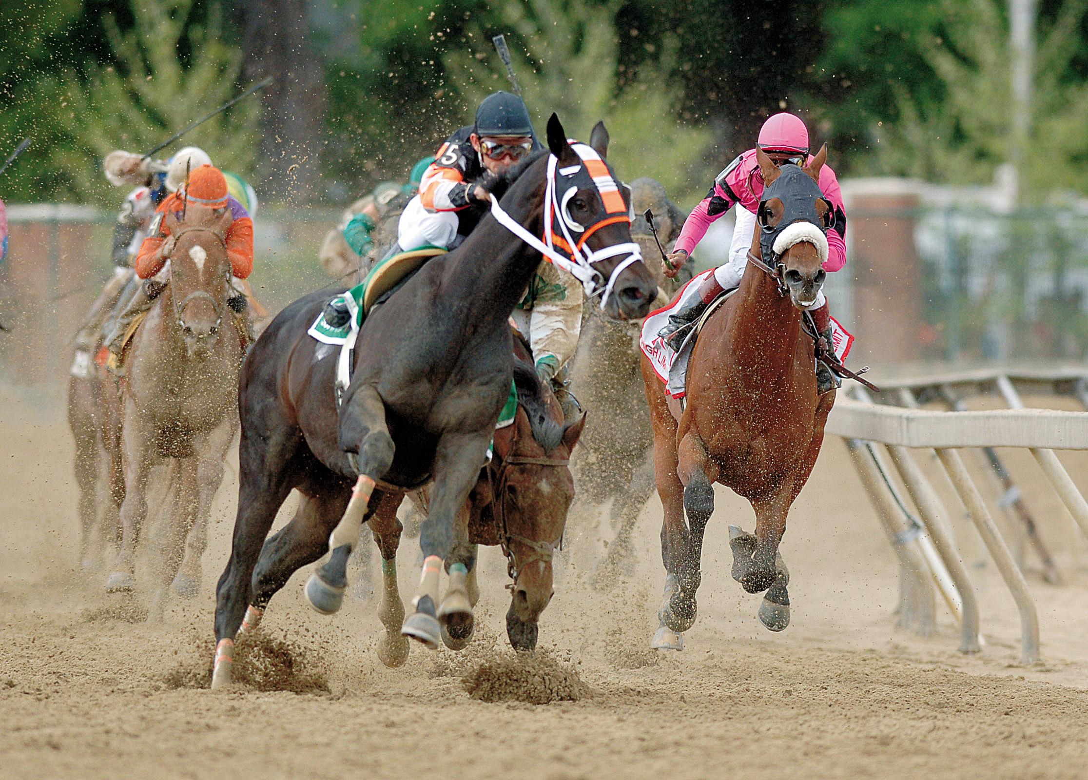 Afleet Alex stumbles as Scrappy T veers into his path in the Preakness.