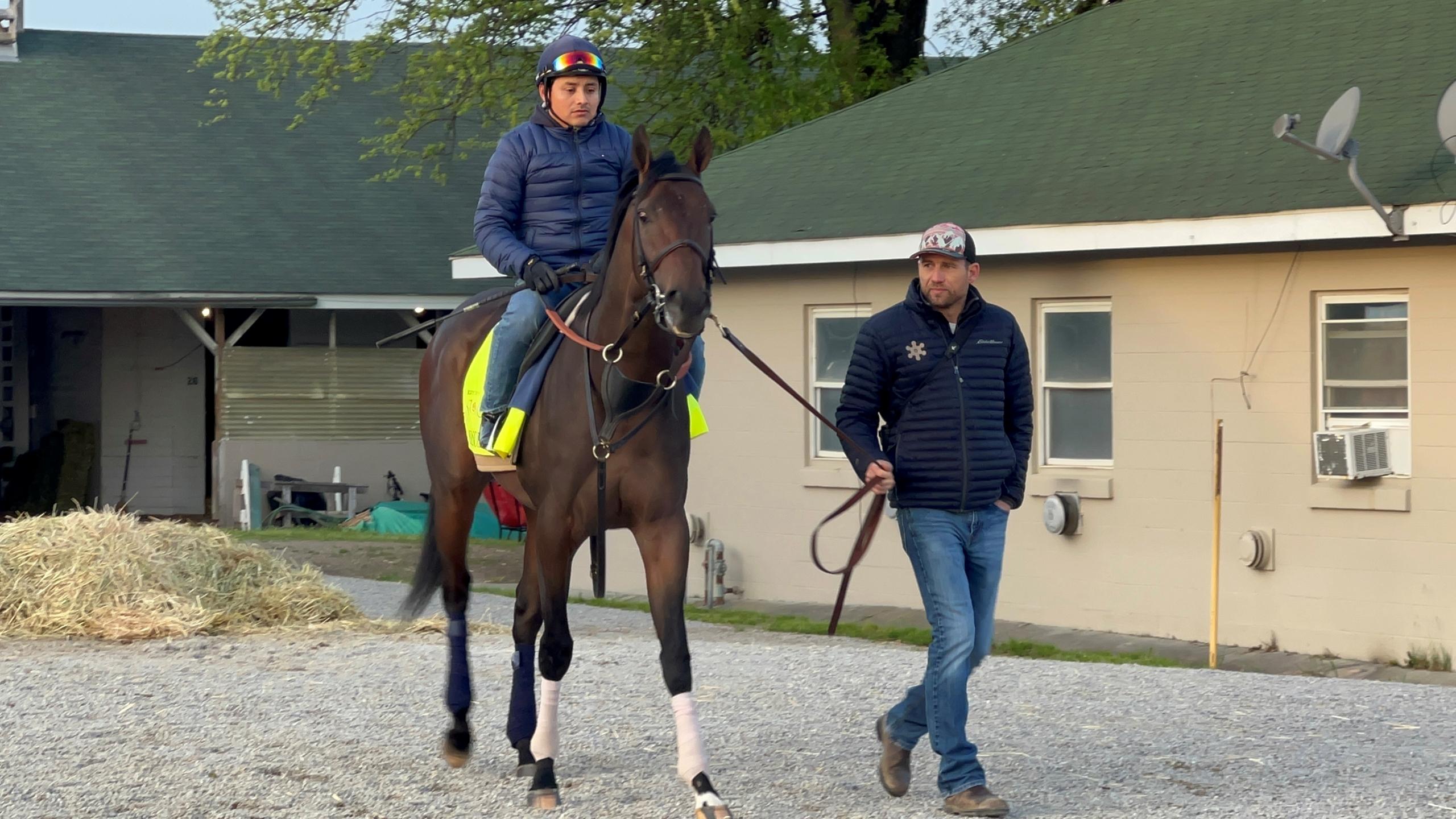 Belmont Stakes, Whit Beckman, Honor Marie, BloodHorse