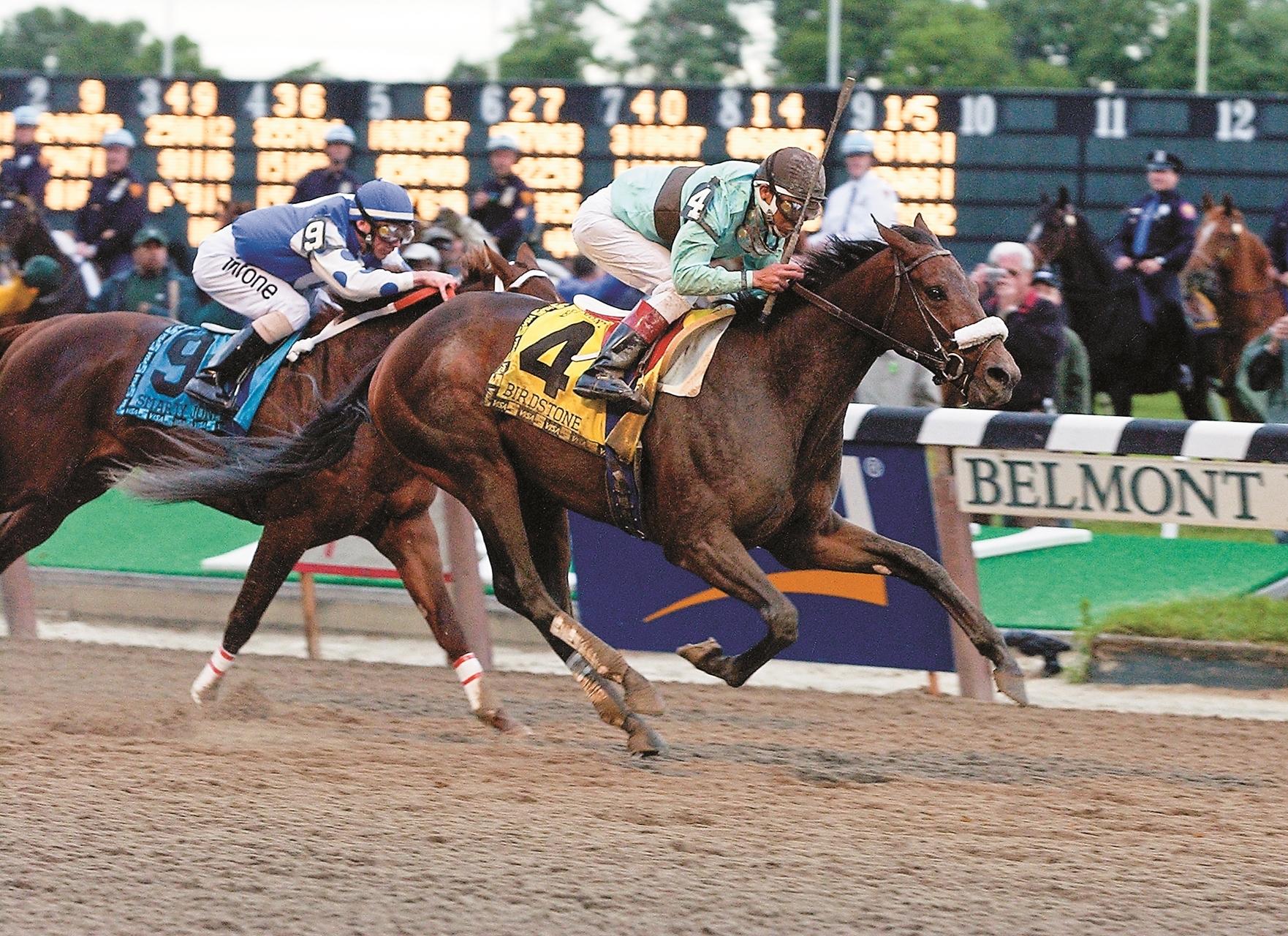 Birdstone, Smarty Jones, 2004 Belmont Stakes, BloodHorse Library, Anne M. Eberhardt Birdstone, Smarty Jones, 2004 Belmont Stakes, BloodHorse Library, Anne M. Eberhardt