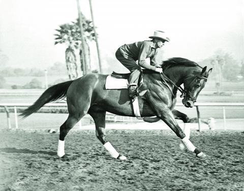 Citation works out at Santa Anita Park.
