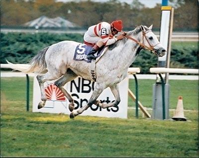 Cozzene, 1985 Breeders' Cup Mile, BloodHorse Library