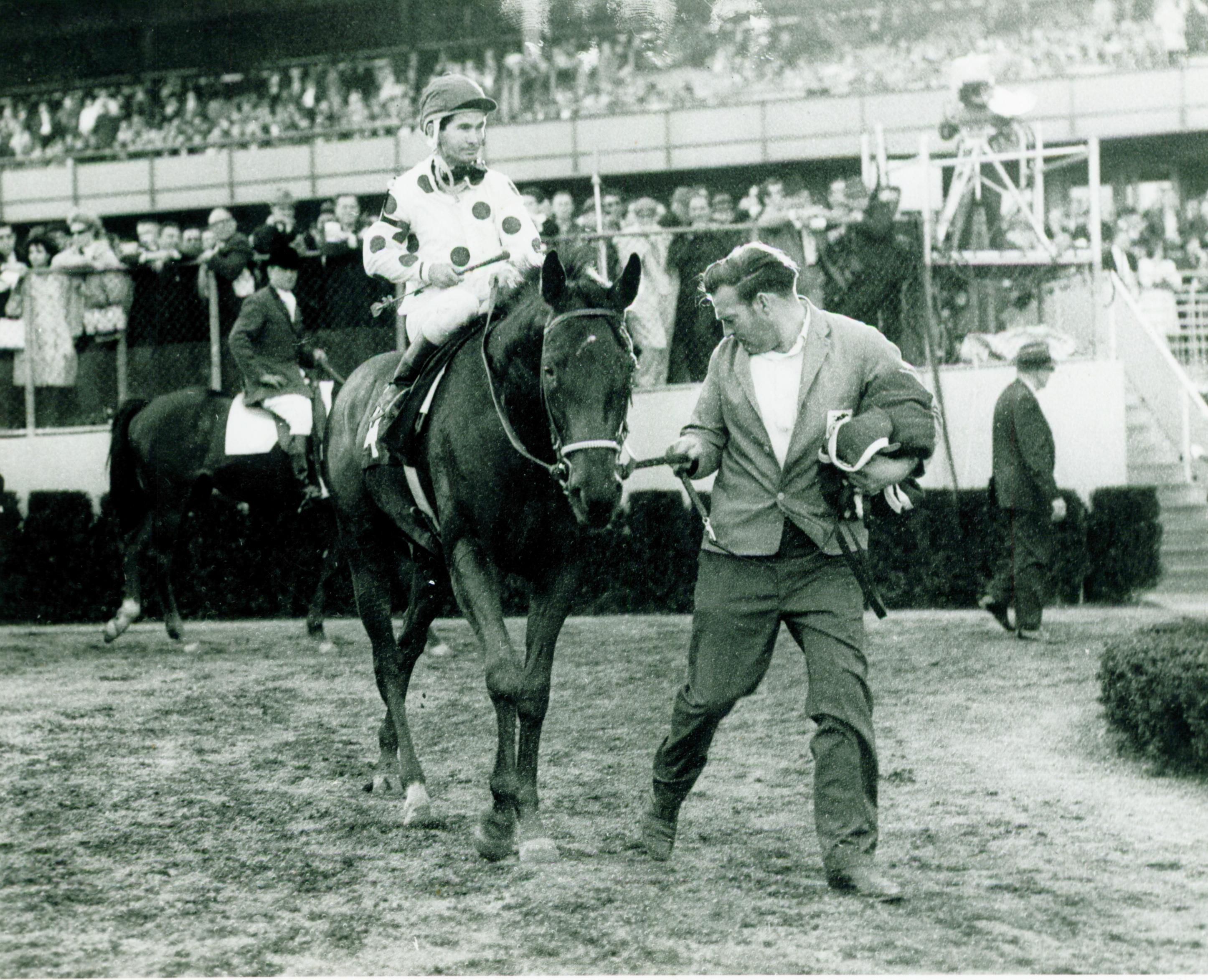 Damascus after winning the Wood Memorial