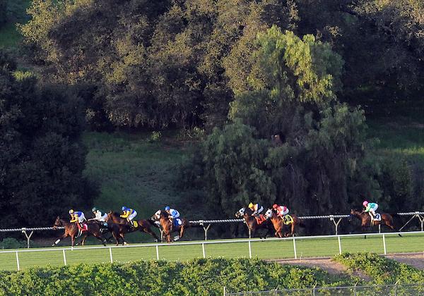 Santa Anita Park, downhill turf 