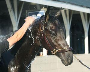 Encino, Kentucky Derby, Churchill Downs