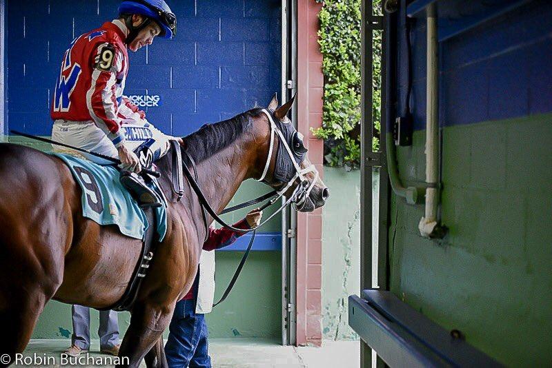 The youngest Fourth of July racehorse.