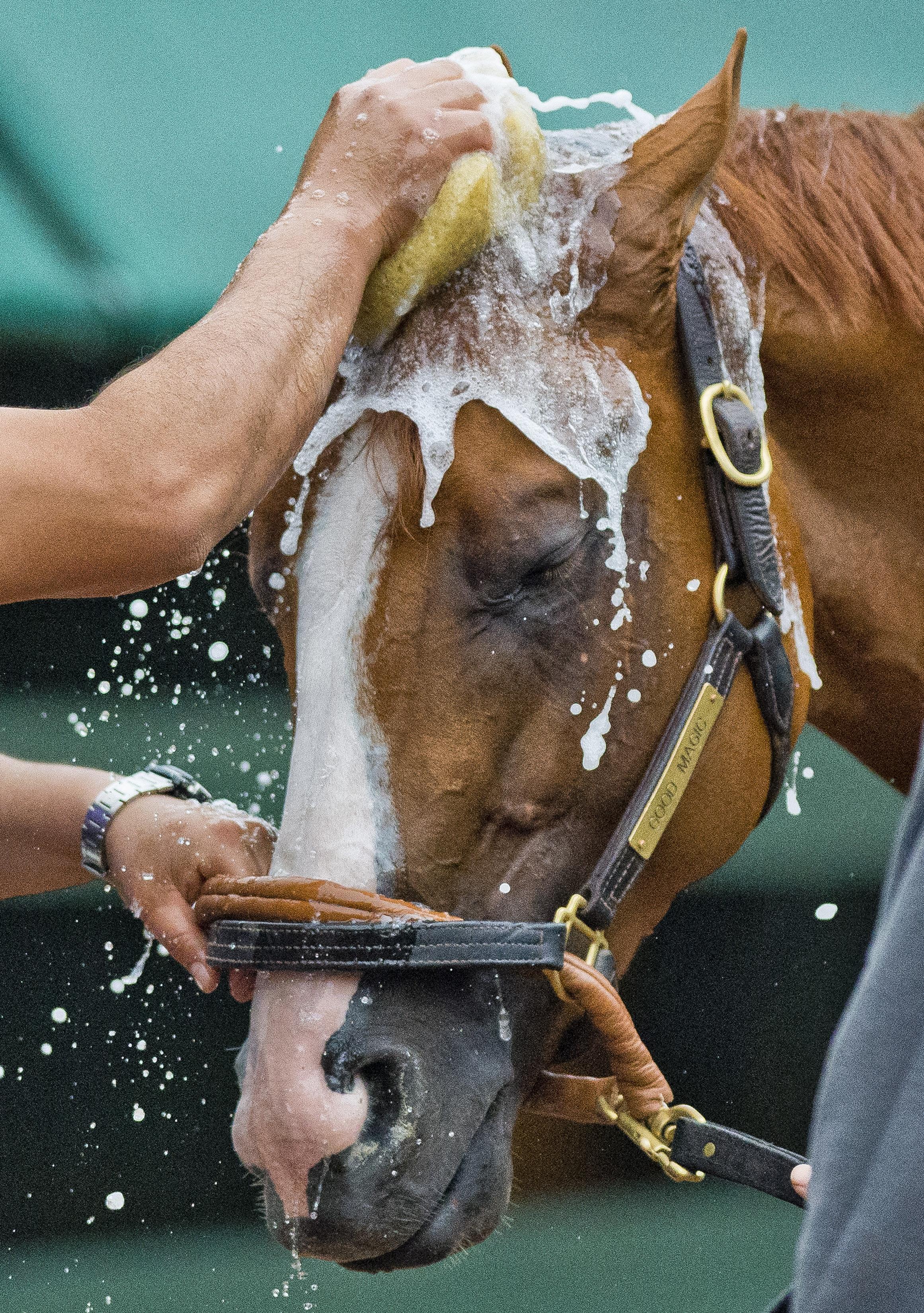 Preakness Good Magic Bath Jose Ortiz Chad Brown Pimlico