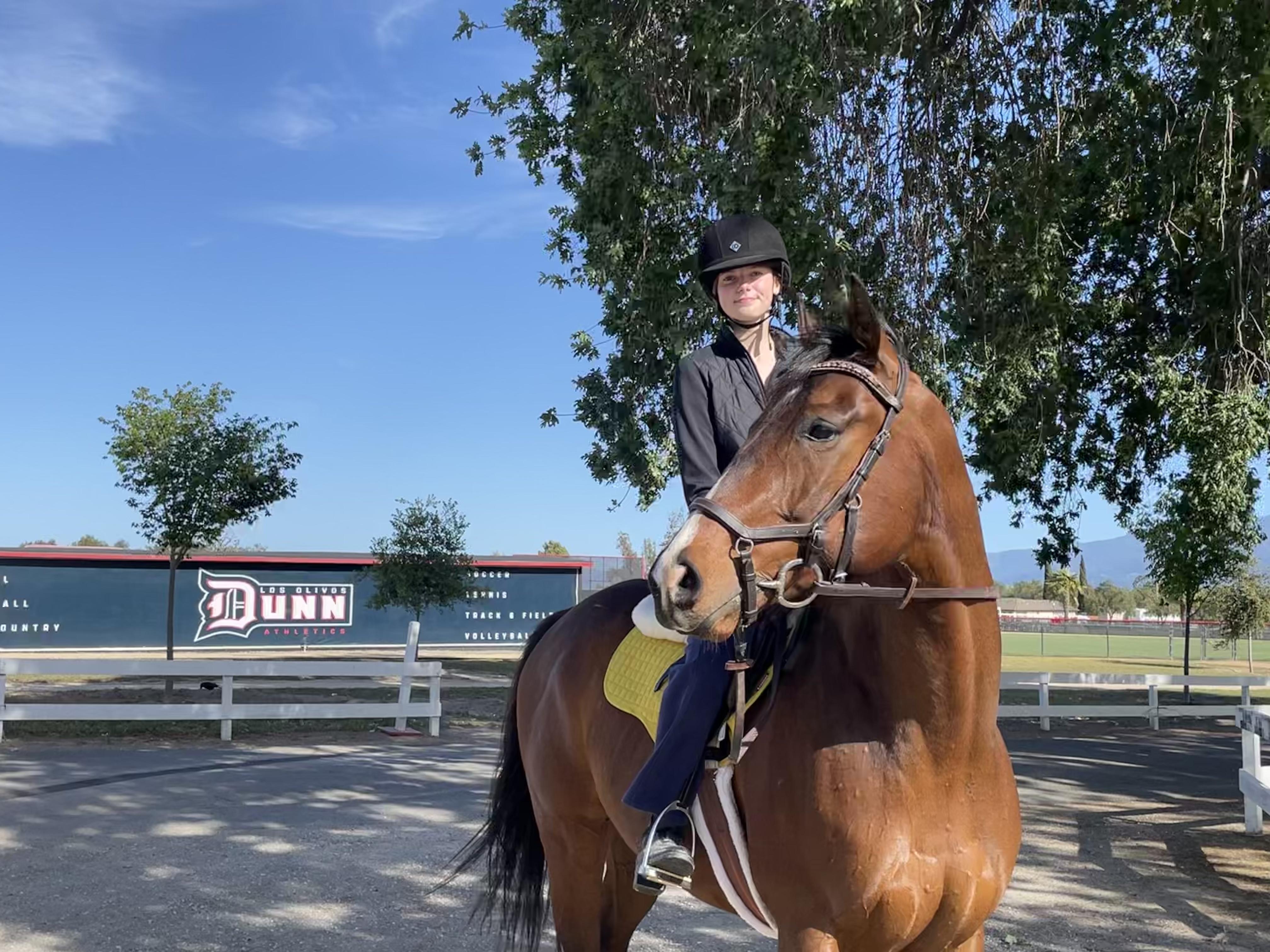 Thoroughbred Aftercare Alliance, Win Place Home, Scouted, Olivia Holland, BoJack