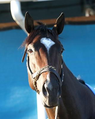 Just a Touch, Kentucky Derby, Churchill Downs