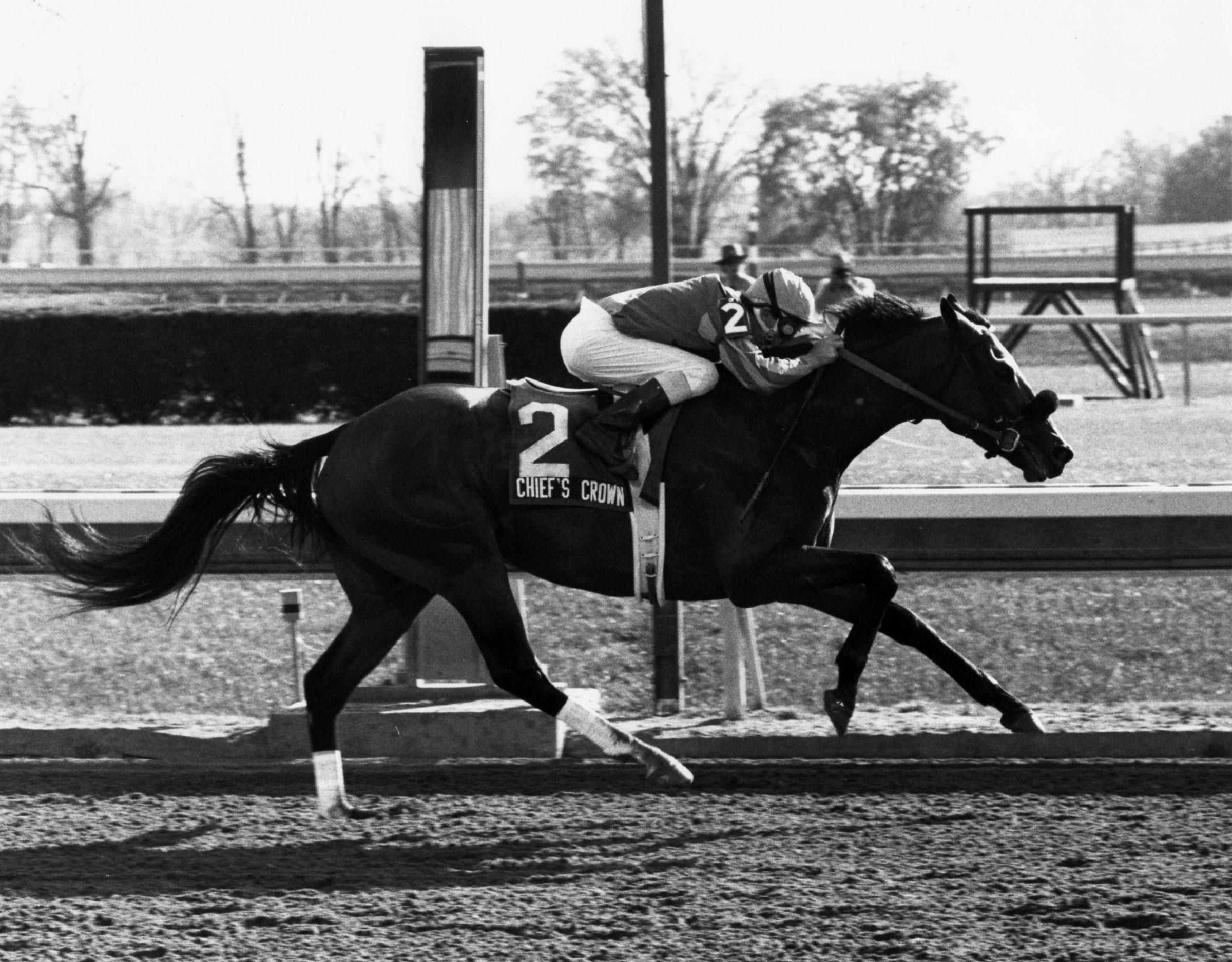 Chief's Crown, 1985 Blue Grass Stakes, Keeneland, Bill Straus