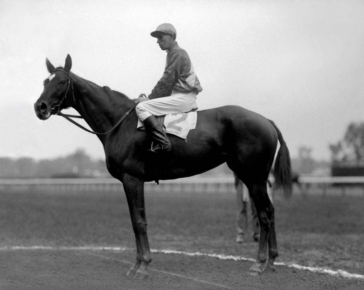 Princess Doreen, Keeneland Library Cook Collection, McTague
