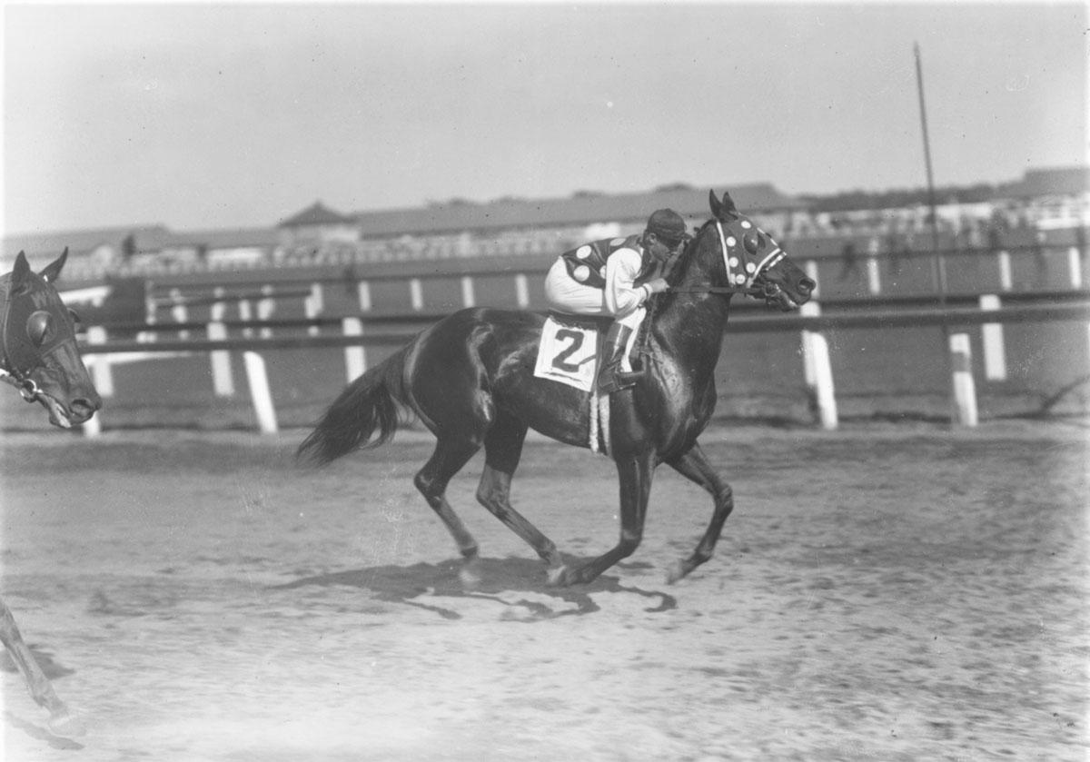 Black Maria, Keeneland Library Cook Collection, Laverne Fator
