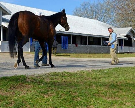 HISA, veterinarian, BloodHorse, Anne M. Eberhardt HISA, veterinarian, BloodHorse, Anne M. Eberhardt