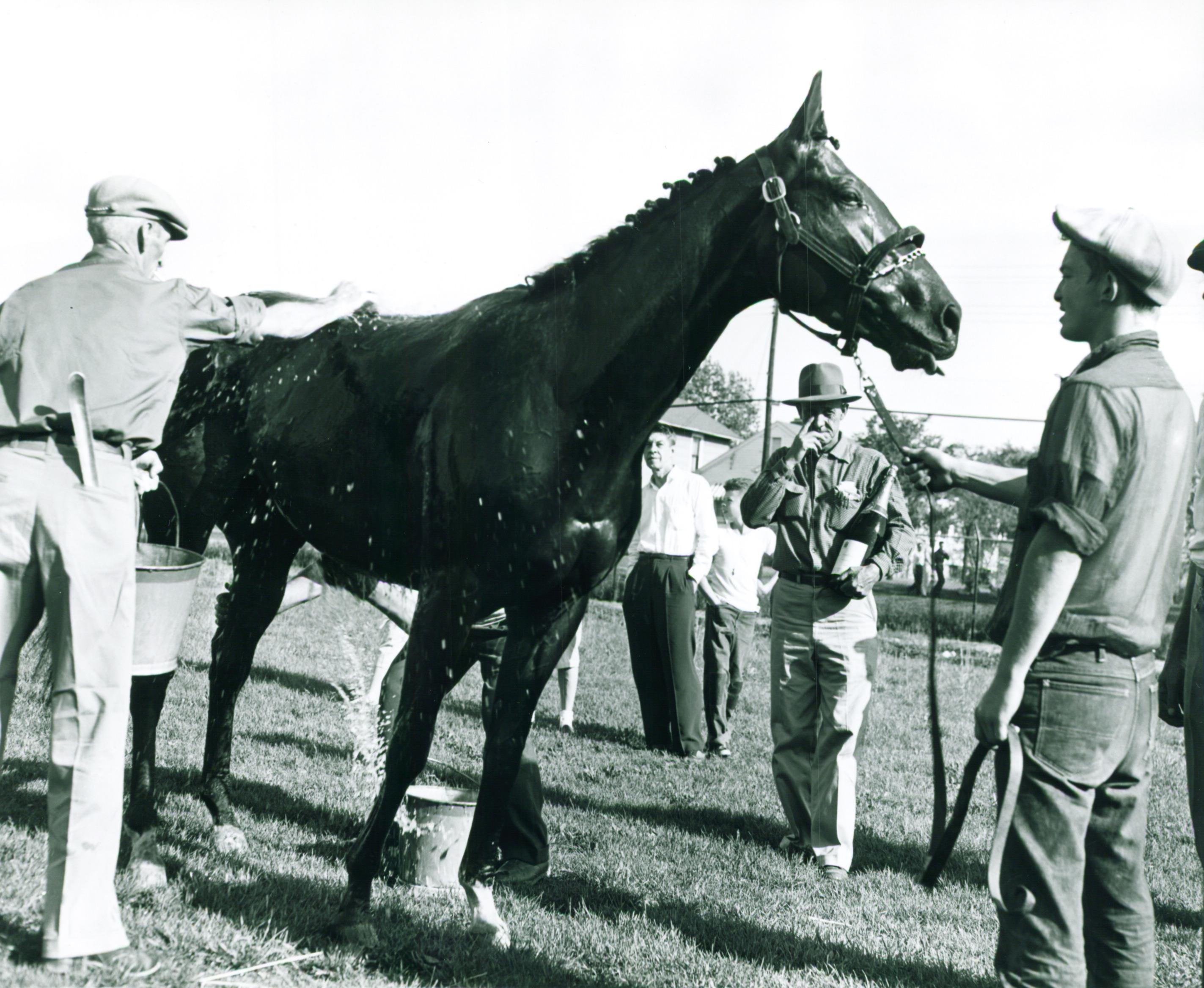 Needles gets a bath after his Kentucky Derby win.