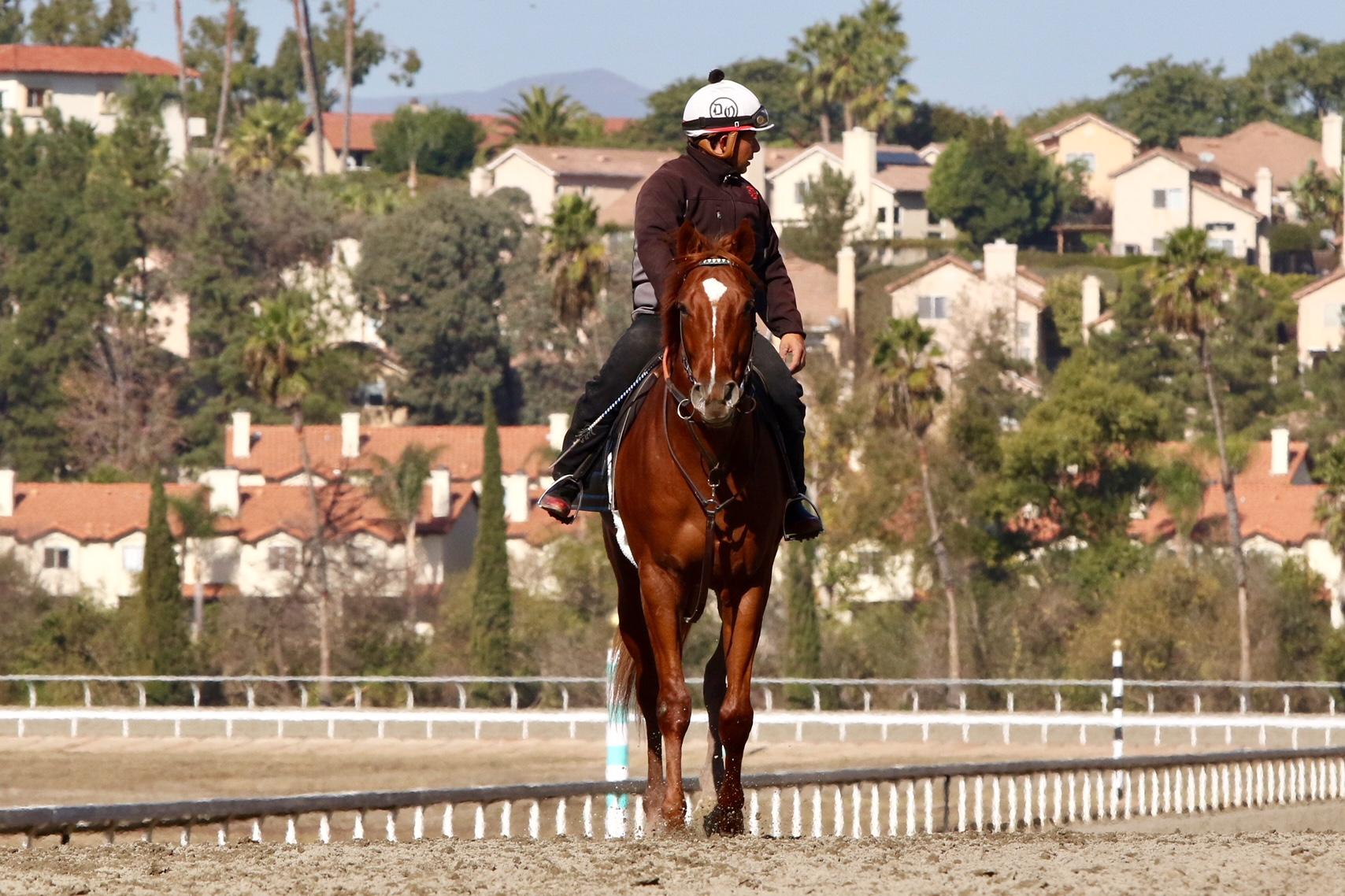 Nothingtoseehere in California