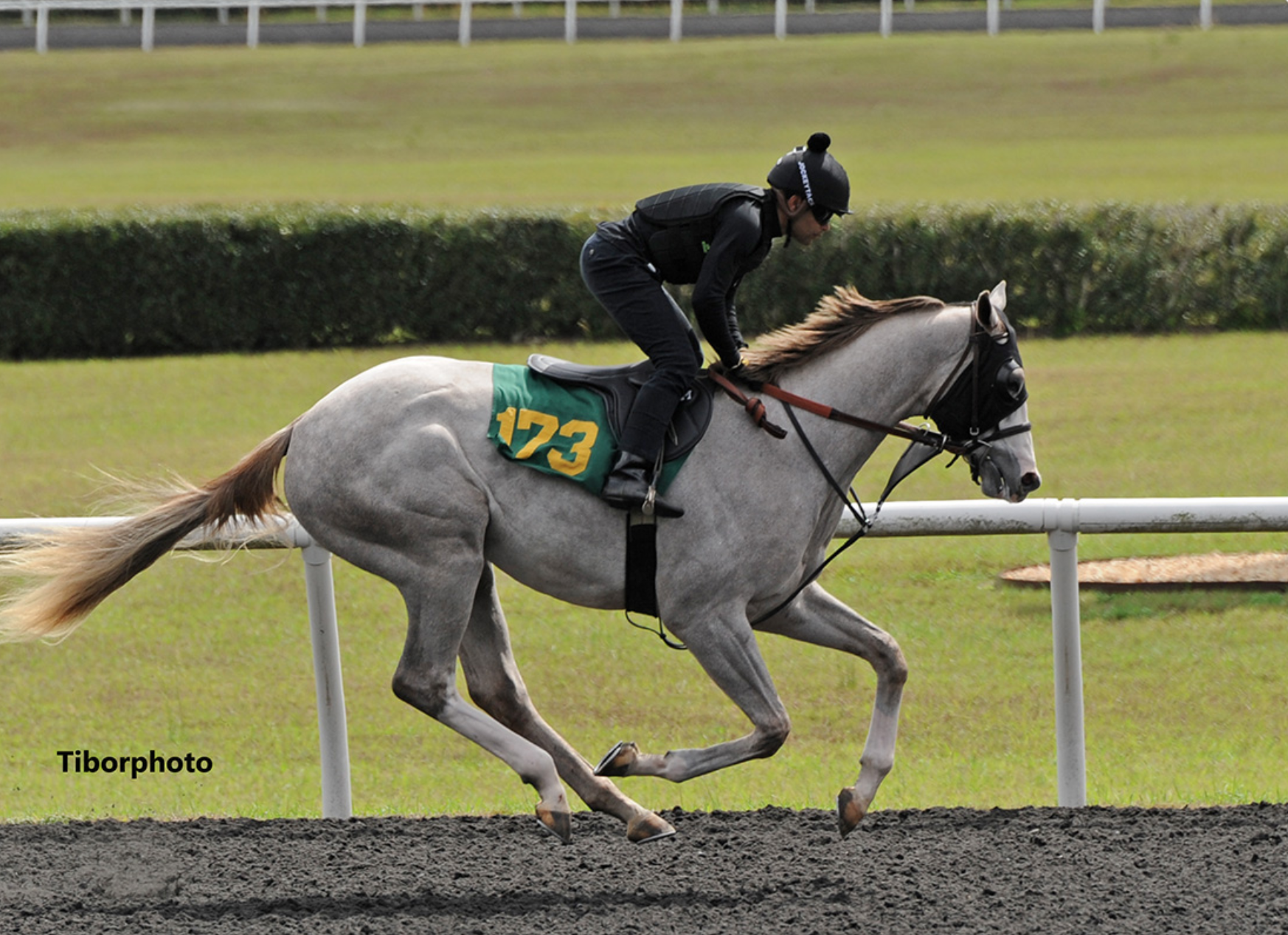 Social Media Star Griffin Johnson Anticipates His Racehorse’s Debut ...