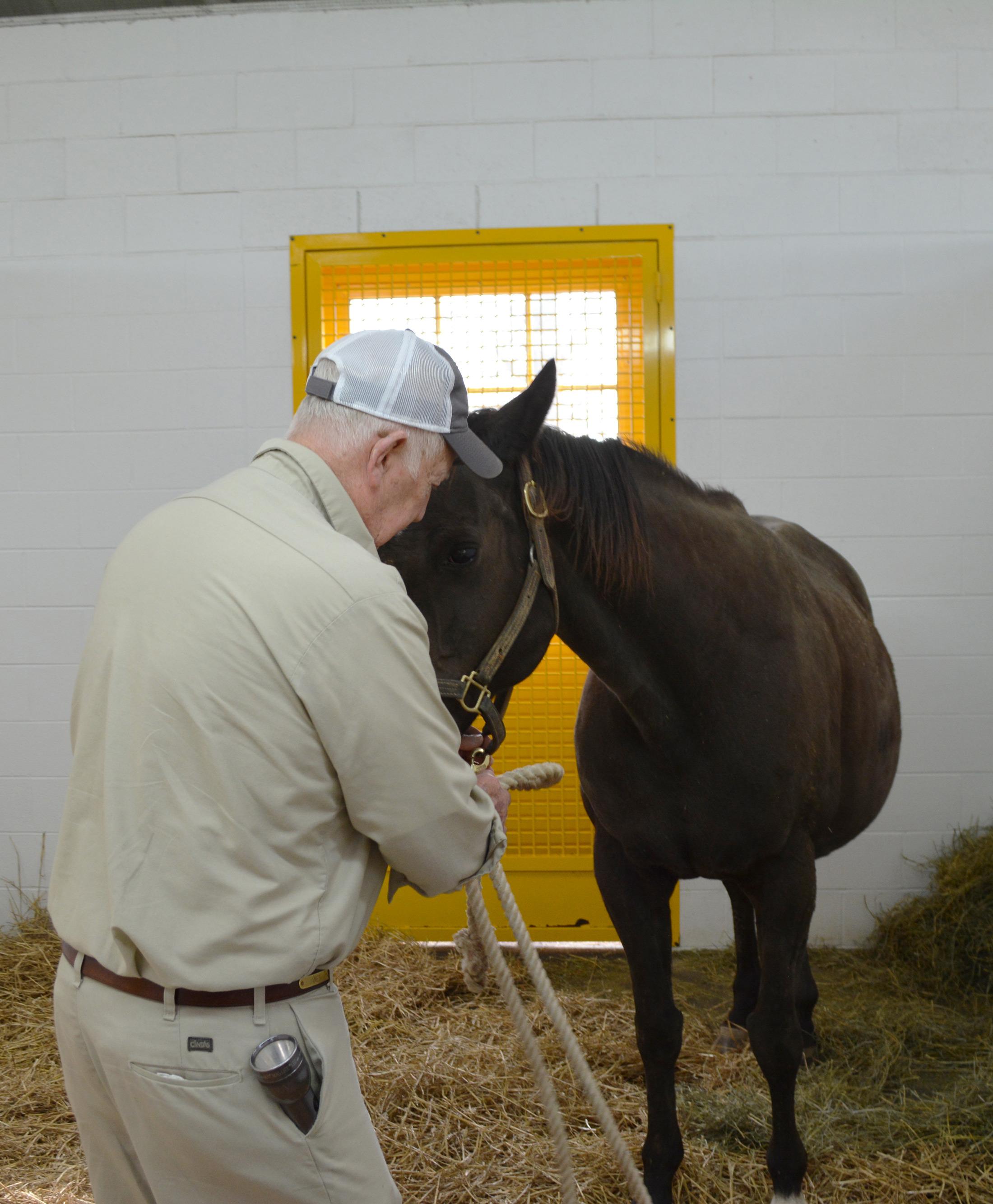 Sebastian with the mare Bend