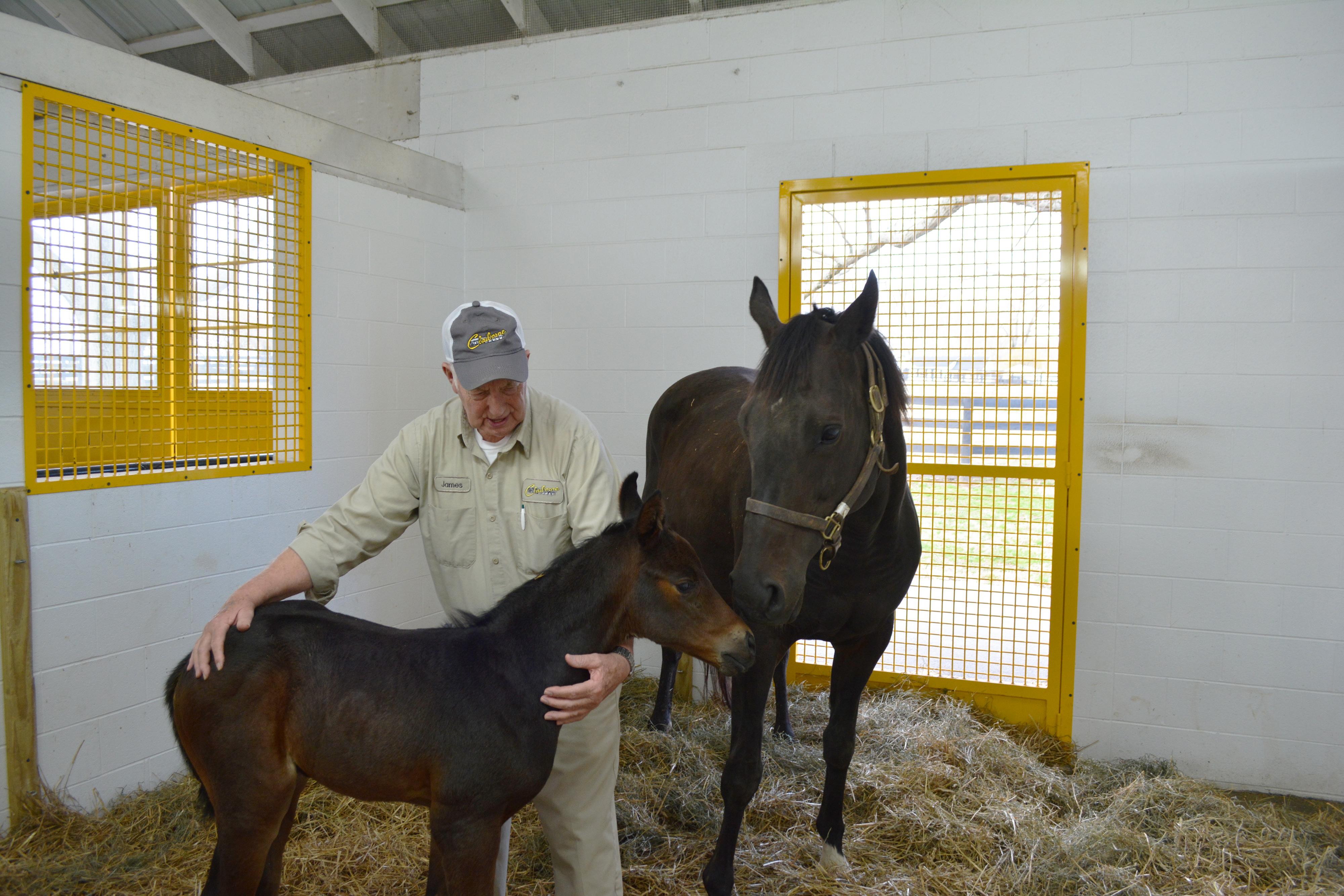 Sebastian with Lauren Byrd and her colt