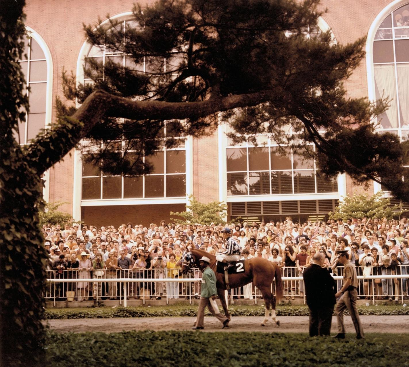 Secretariat 1973 Belmont Stakes Triple Crown 