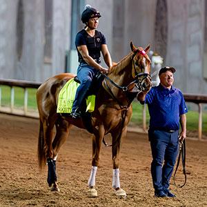 Society Man, Kentucky Derby, Churchill Downs