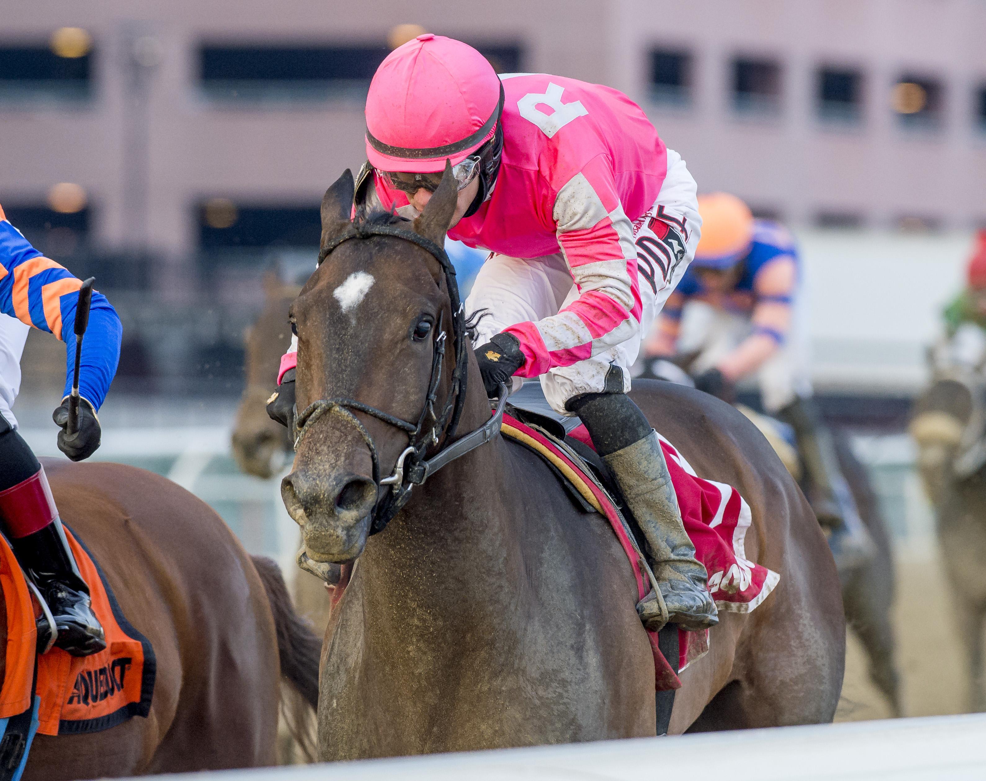 Tax wins the Withers.