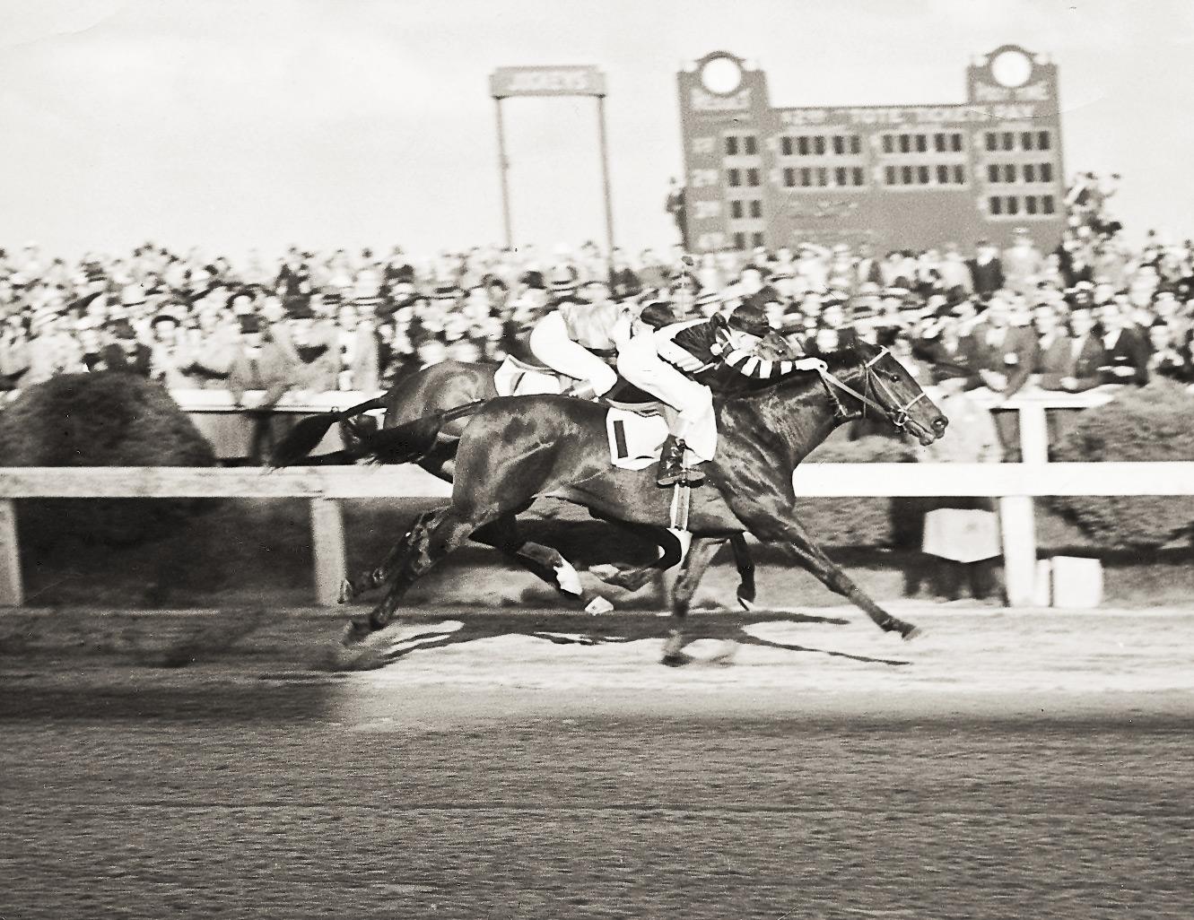 War Admiral wins the 1937 Preakness Stakes.