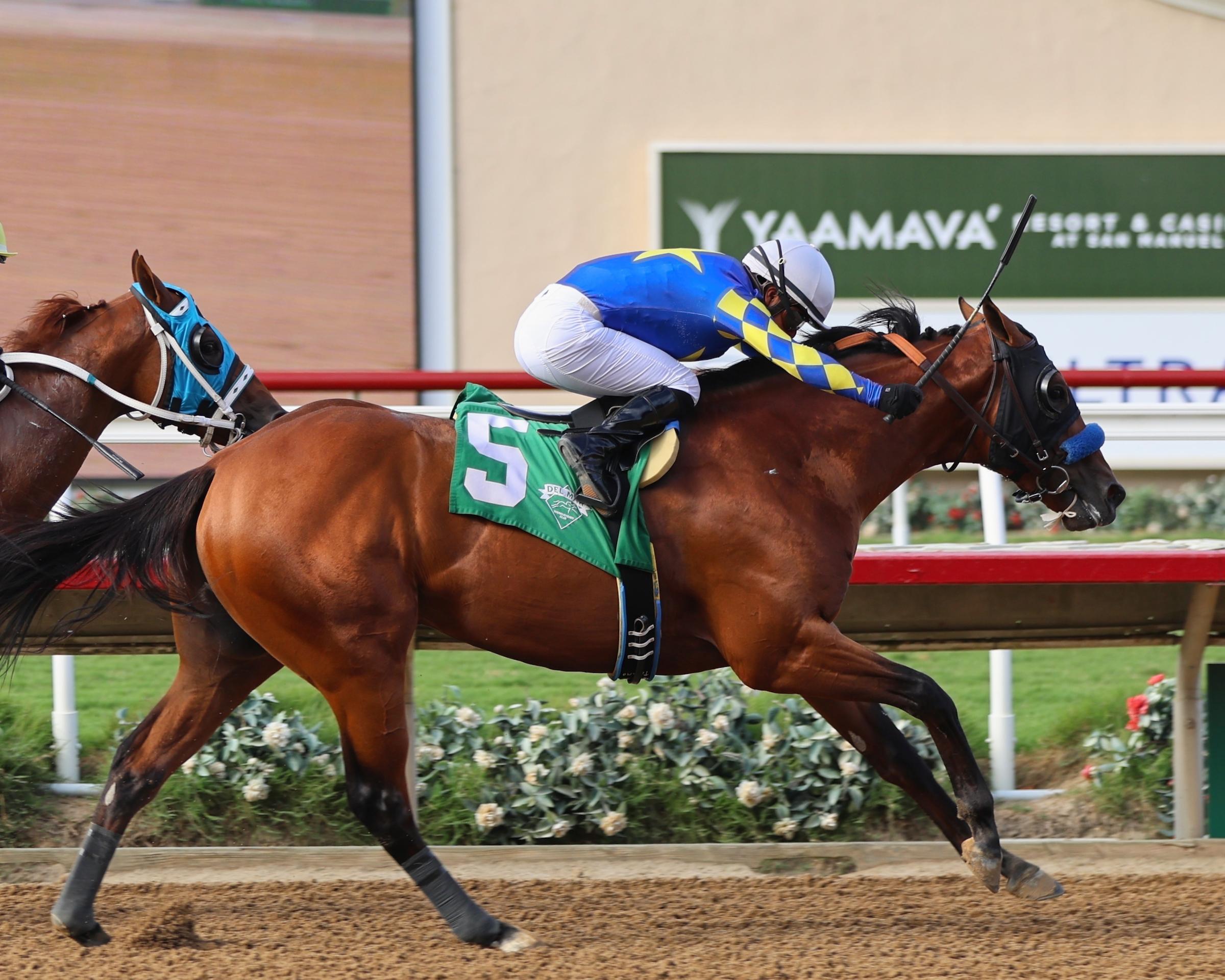 Citizen Bull, Del Mar, Eclipse Sportswire