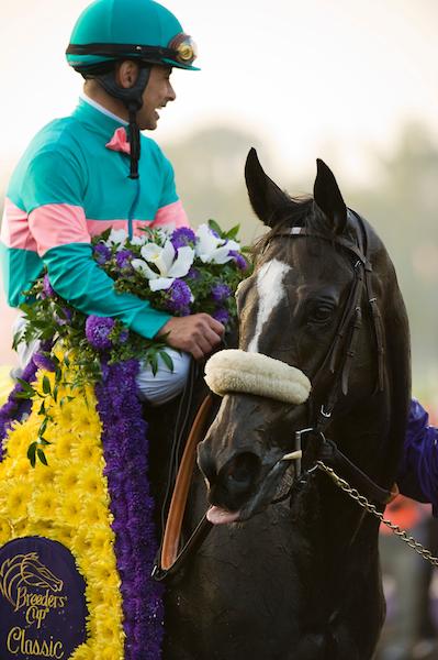 Zenyatta, 2009 Breeders' Cup Classic, Eclipse Sportswire