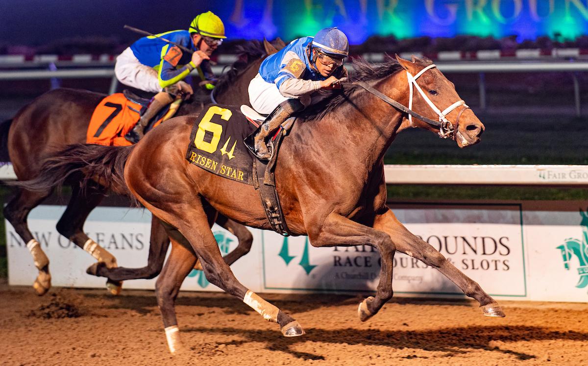 Angel of Empire Kentucky Derby Triple Crown Arkansas Derby