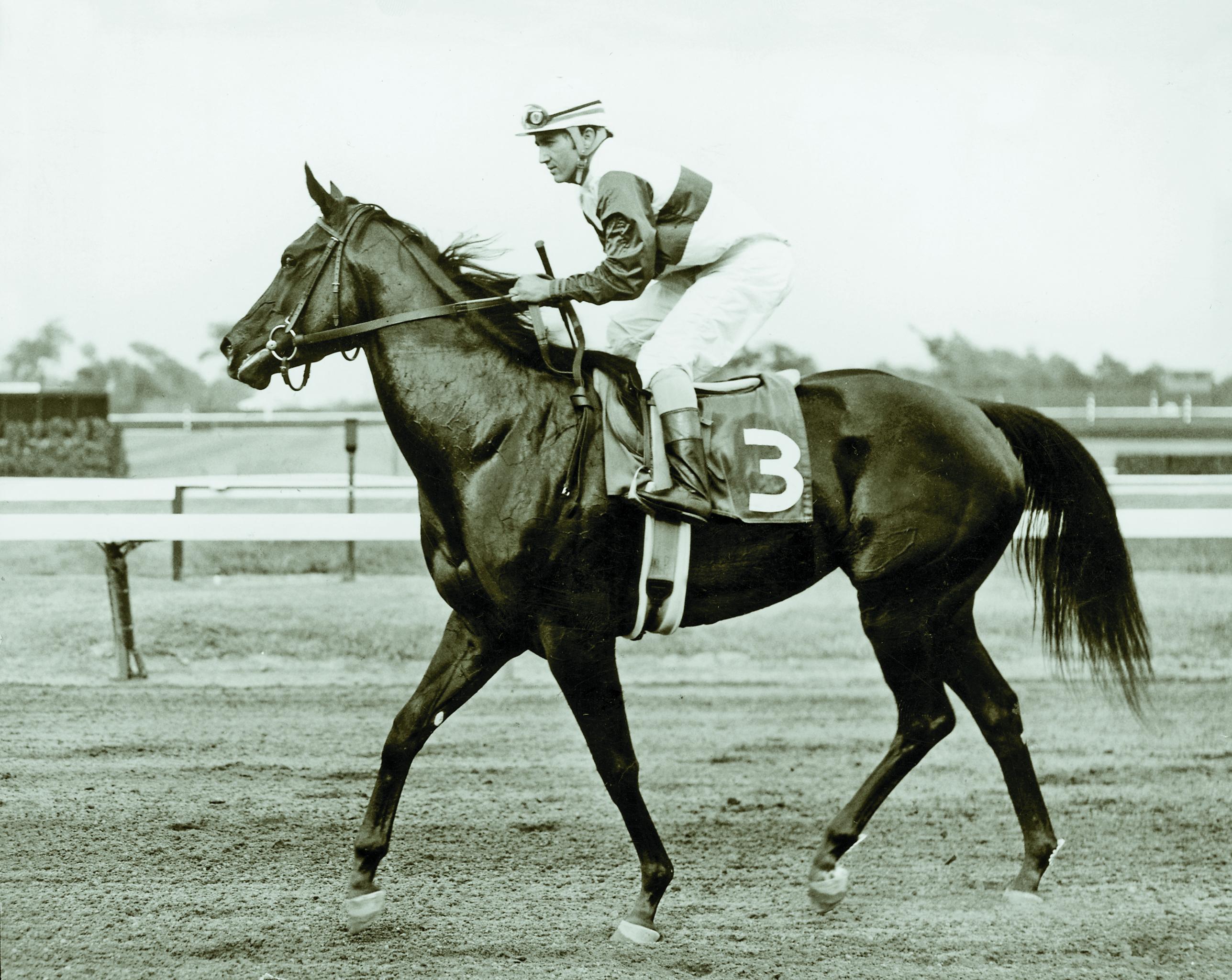 Ruffian and jockey Jacinto Vasquez after winning the 1974 Sorority Stakes at Monmouth Park.