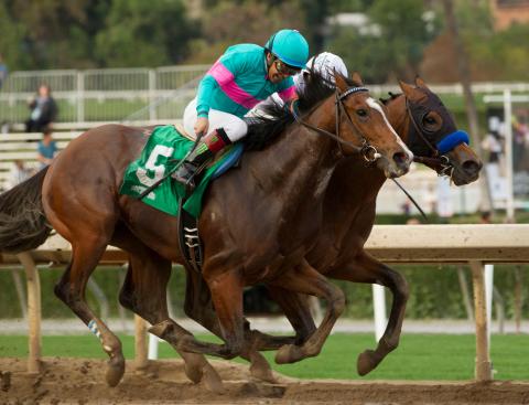 Gormley (outside) bested American Anthem by a head in the Sham Stakes at Santa Anita Park.