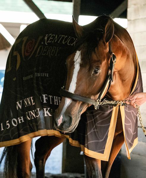 Mystik Dan, Kentucky Derby, Churchill Downs, Preakness Stakes, Eclipse Sportswire Mystik Dan, Kentucky Derby, Churchill Downs, Preakness Stakes, Eclipse Sportswire