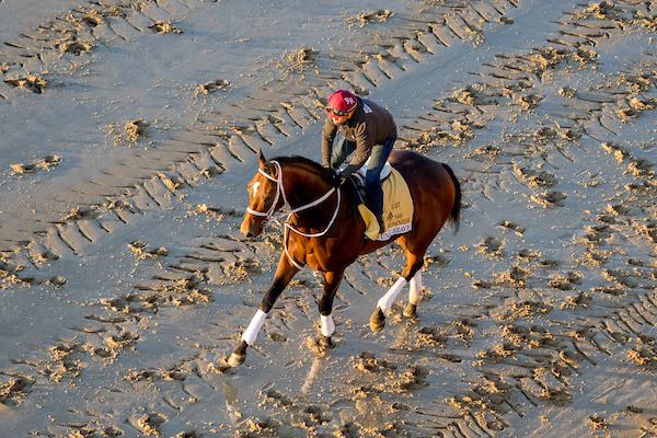 Preakness Stakes, Uncle Heavy, Pimlico, Triple Crown, Eclipse Sportswire