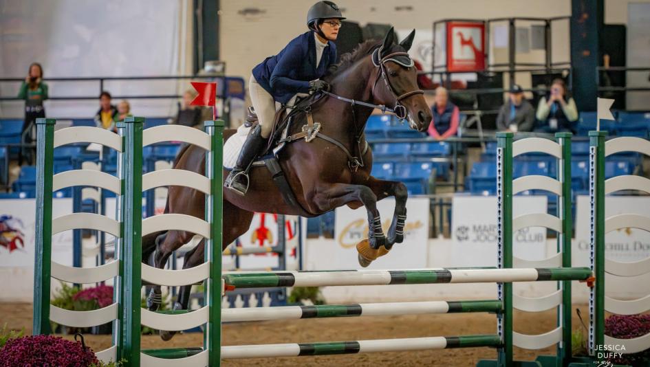 Big Fame, Angela Carmitchel, Thoroughbred Makeover and National Symposium, Thoroughbred Charities of America, Erin Gilmore Photography