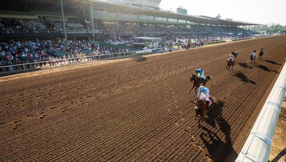 Triple Bend Stakes Santa Anita Park Denman’s Call Positivity Spirit of Makena