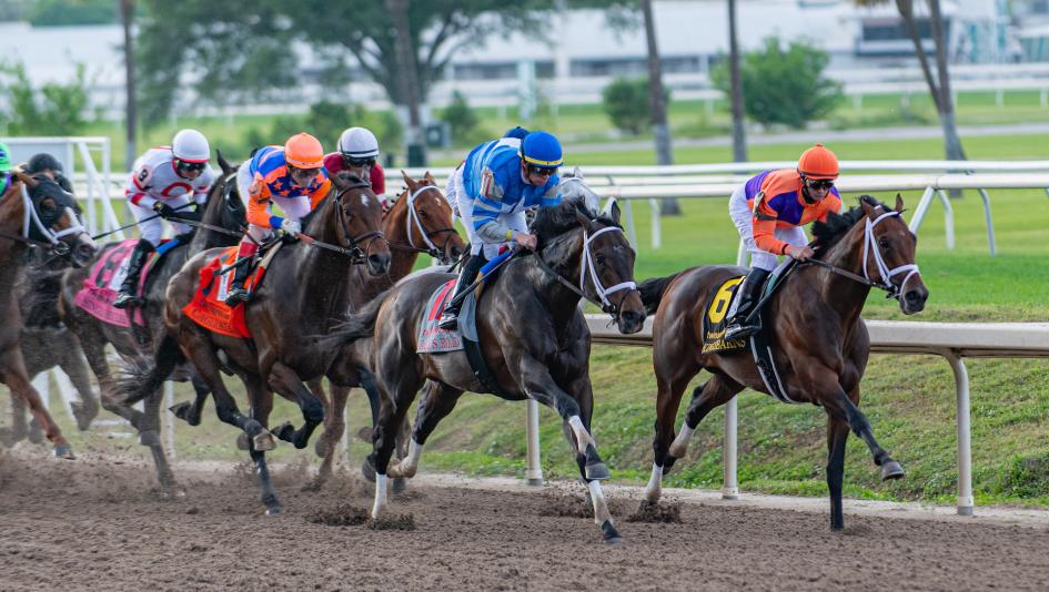 2023 Louisiana Derby, Fair Grounds, Kingsbarns, Todd Pletcher, Eclipse Sportswire