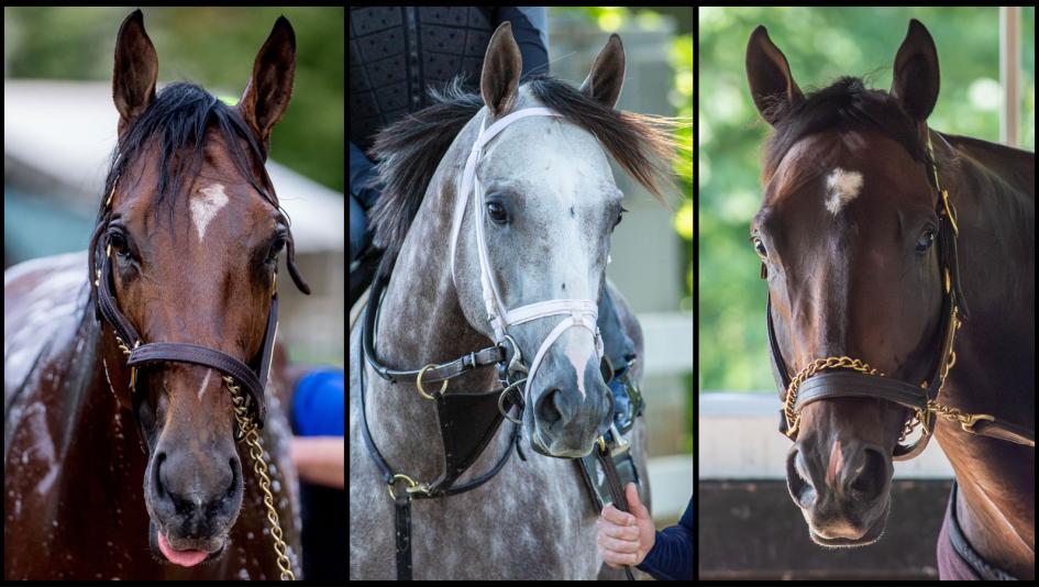 2023 Belmont Stakes Belmont Park Triple Crown National Treasure Tapit Trice Forte