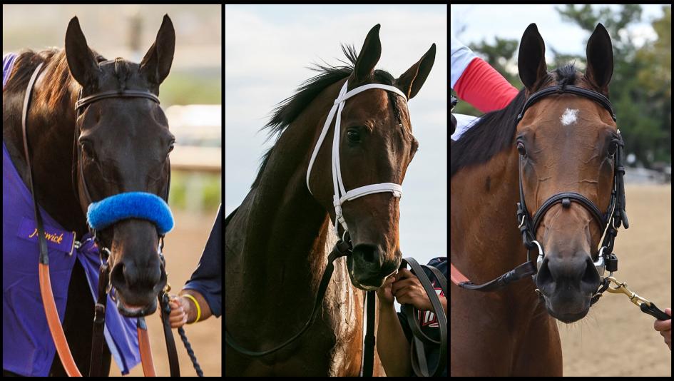 Adare Manor, Idiomatic, Randomized, Longines Breeders’ Cup Distaff, Santa Anita Park