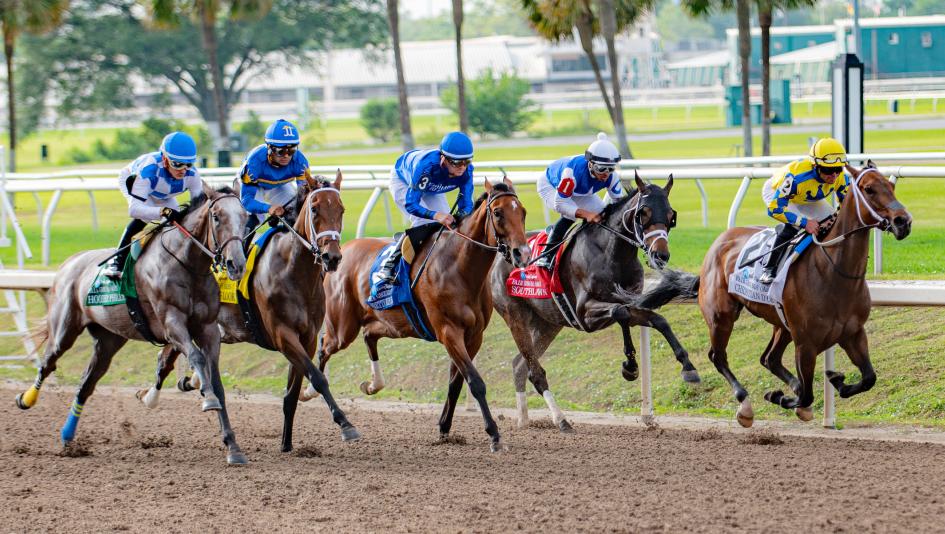 Fair Grounds Oaks betting gambling exacta trifecta fillies V V’s Dream McPeek Midsummer March Alpine Princess Lucy Got Game Tarifa Cox Intricate Walsh Our Pretty Woman Asmussen Accommodate Eva 