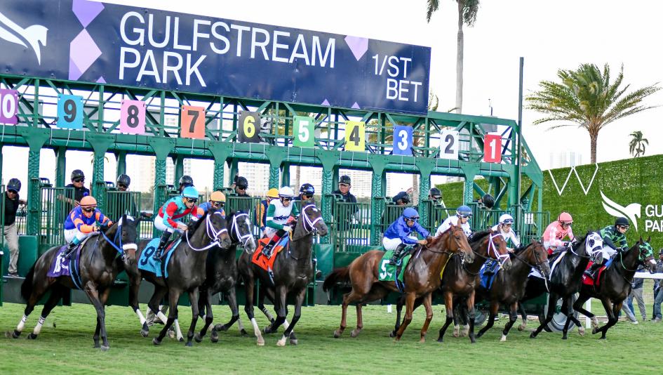 Weekend Winners gambling handicapping betting horse racing Ft. Lauderdale Stakes Gulfstream Running Bee Main Event Kingmax Stone Age Fort Washington Fast as Flight Sister Lou Ann Ortiz Full Count Felicia Suwannee River Pegasus Horseplayers